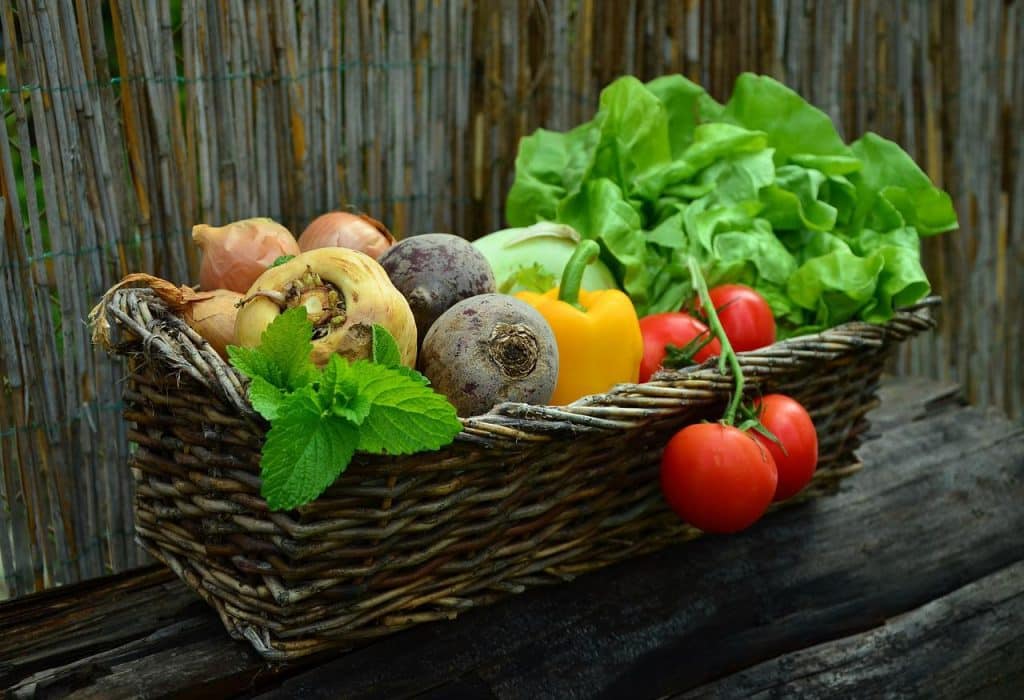 How Long Will Food Stay Good In Freezer Without Power?