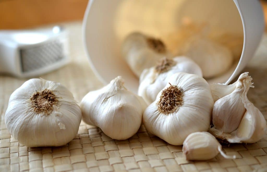 garlic