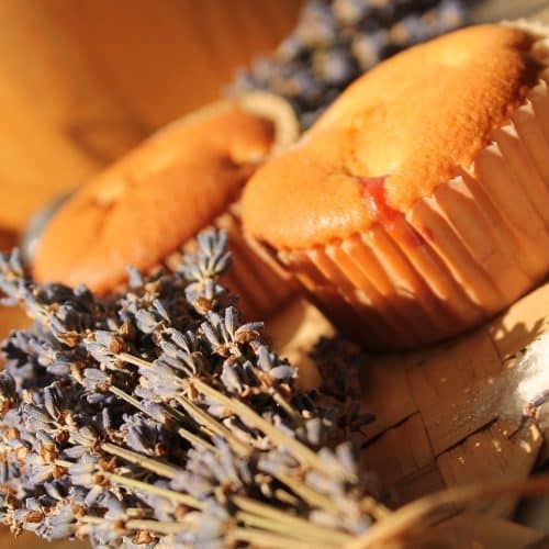 Lavender & Almond Milk Scone