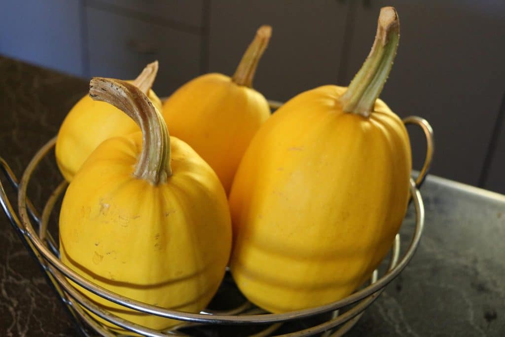 How Long Does Spaghetti Squash Last? 2