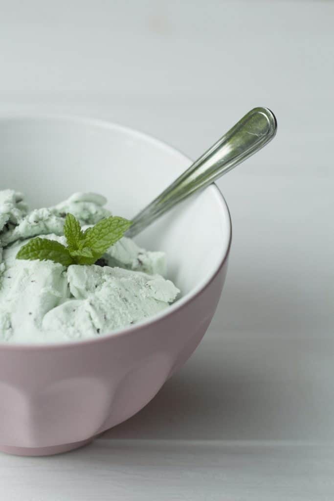 Mint Ice Cream Recipe 1