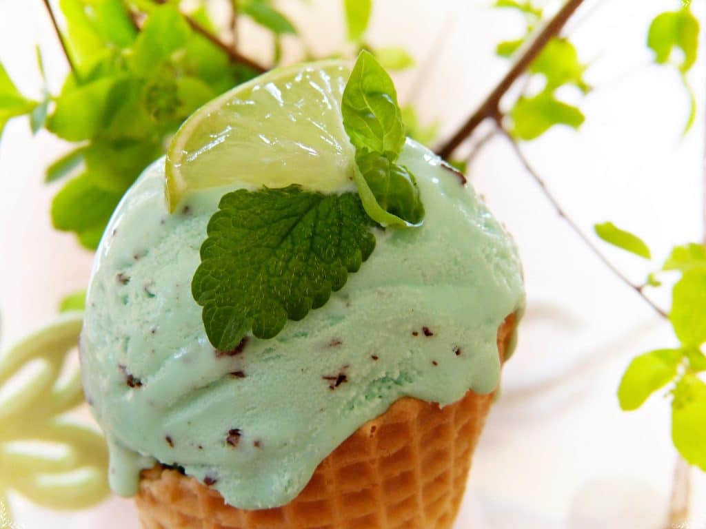 Peppermint Ice Cream 1