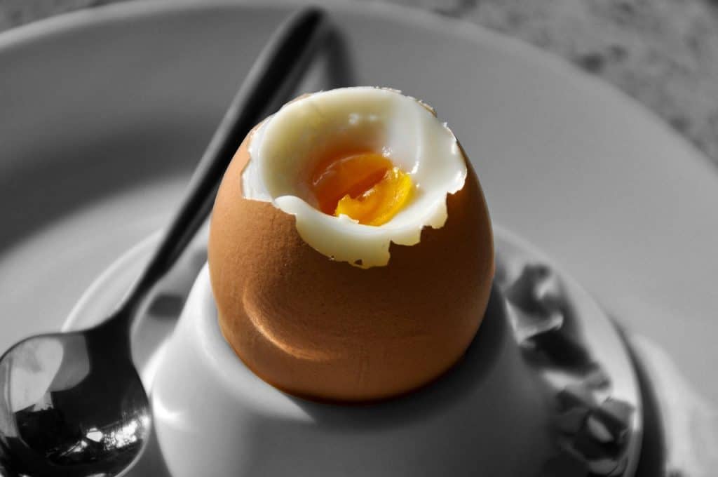 Soft Boiled Egg in The Microwave