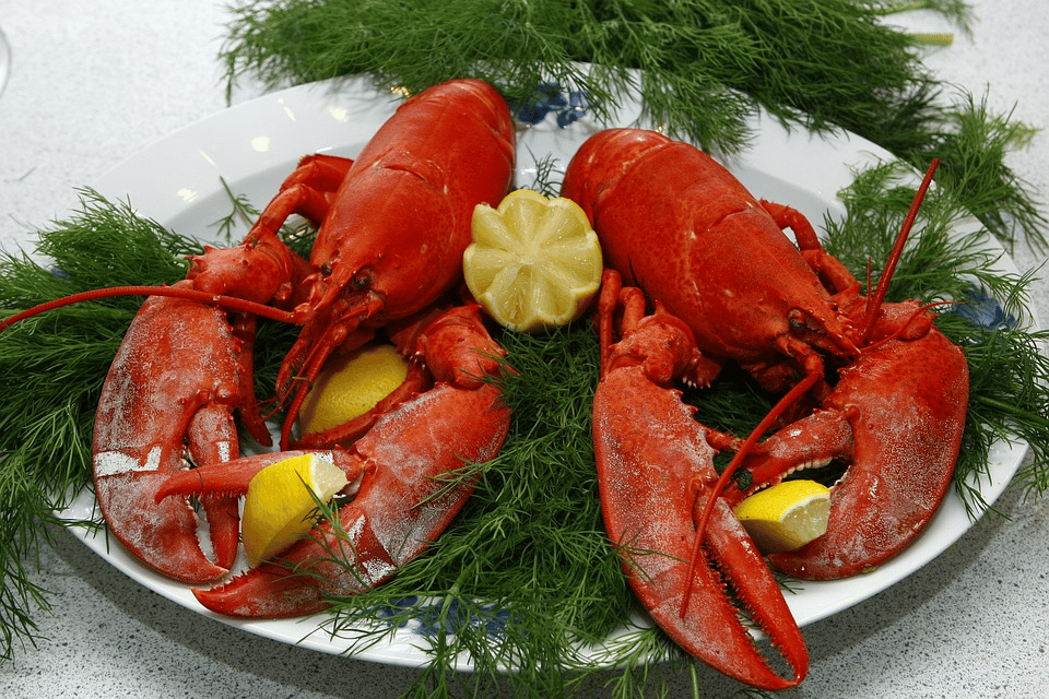 Gordon Ramsay's Authentic Lobster Bisque Recipe 2