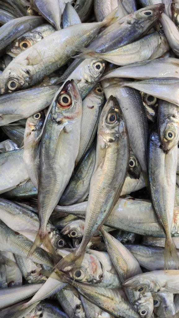 How Do You Eat Canned Mackerel?