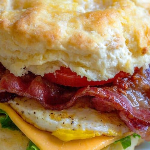 25 Simple Panini Recipes