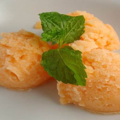 Cantaloupe Sorbet